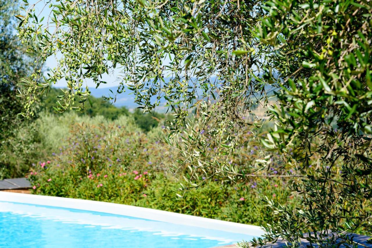 Agriturismo La Pieve Pelago Extérieur photo