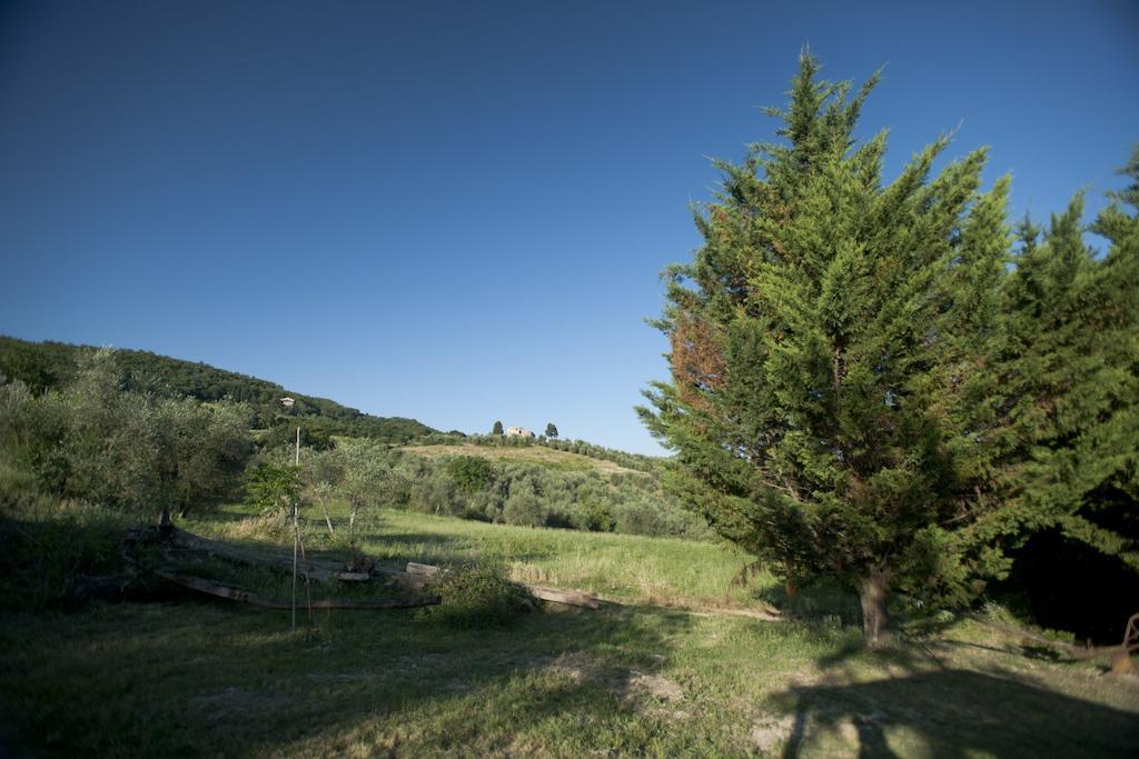 Agriturismo La Pieve Pelago Extérieur photo